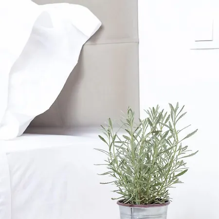 Anamar Boutique (adults Only) Hotel