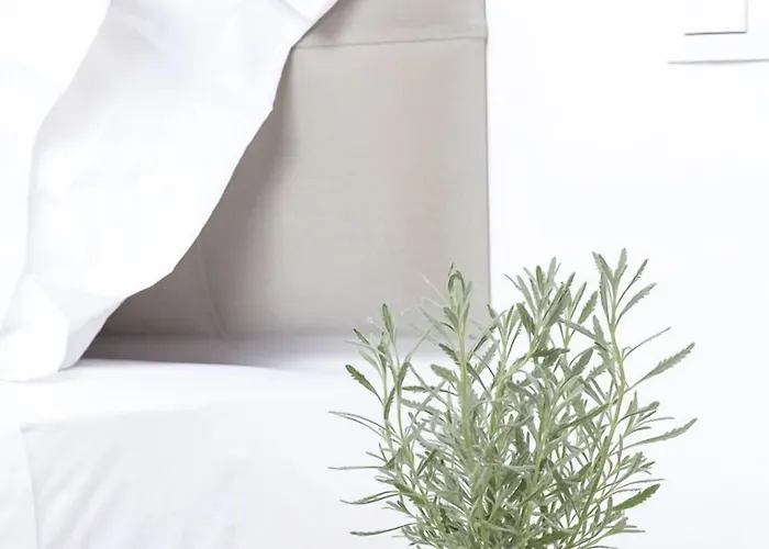 Anamar Boutique (adults Only) Ξενοδοχείο